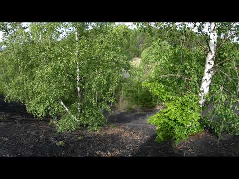 -RSKP- Enduro Team - Jump Too Short