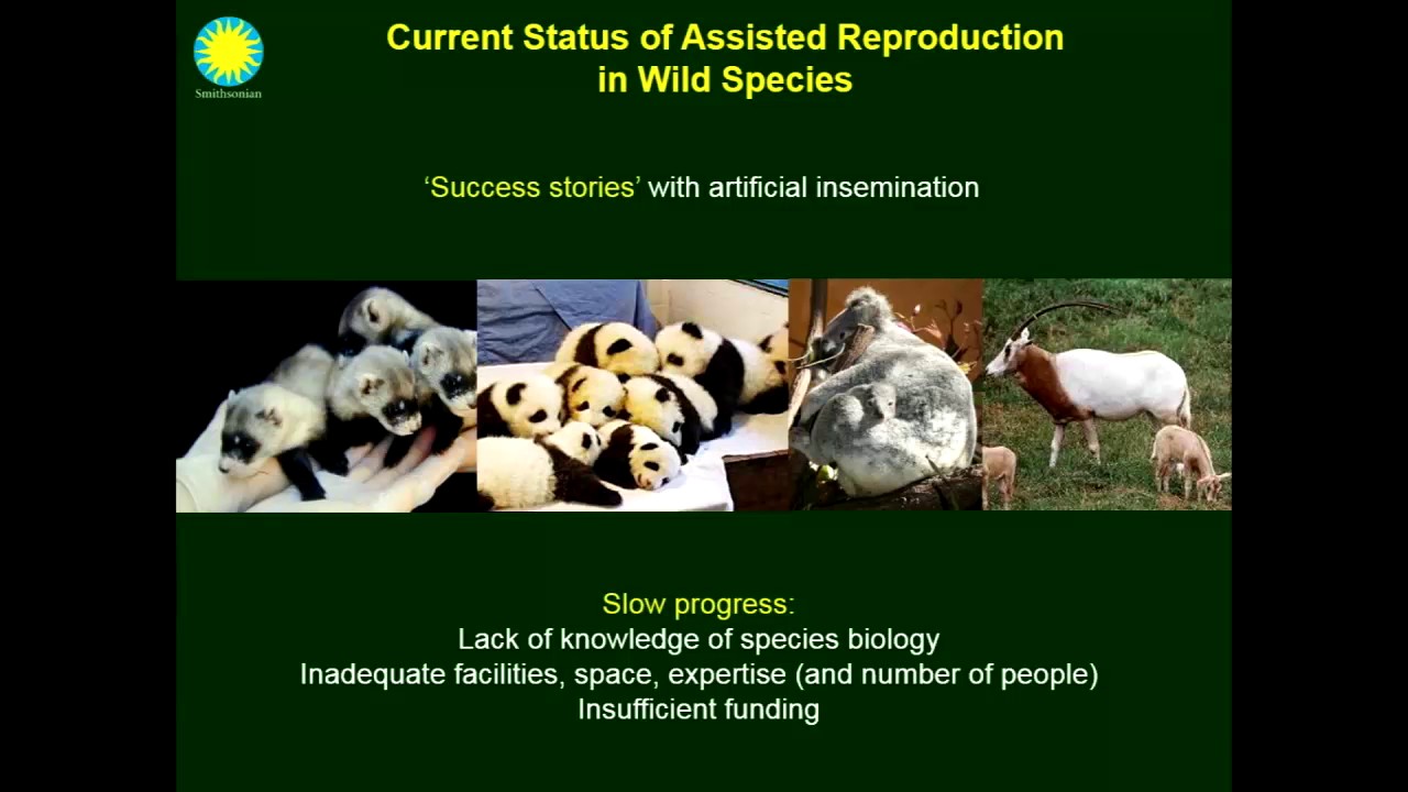 Building bridges between wild and domestic species to advance embryo technologies and fertility preservation