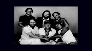 The Beach Boys ~ Livin&#39; With a Heartache (Stereo)