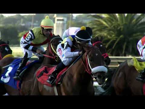 221106 c10 C Pellegrini/ EL CURATO