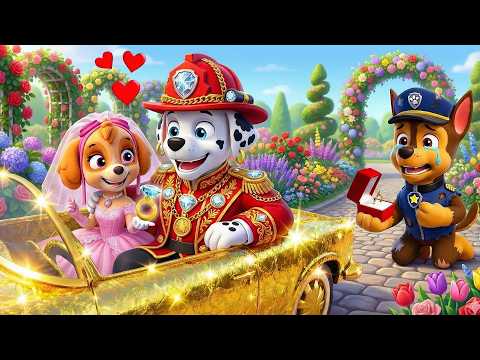 So Sad! Chase’s Heart Is Broken! Skye Marries Billionaire Marshall?! | Paw Patrol 3D Animation