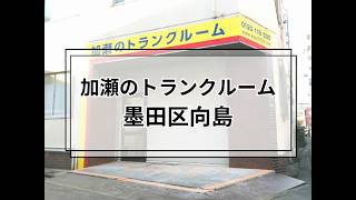 YouTube動画
