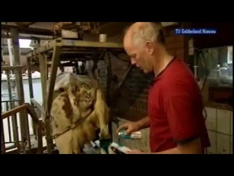 GLD Nieuws 23 mei 2008 - Nieuws