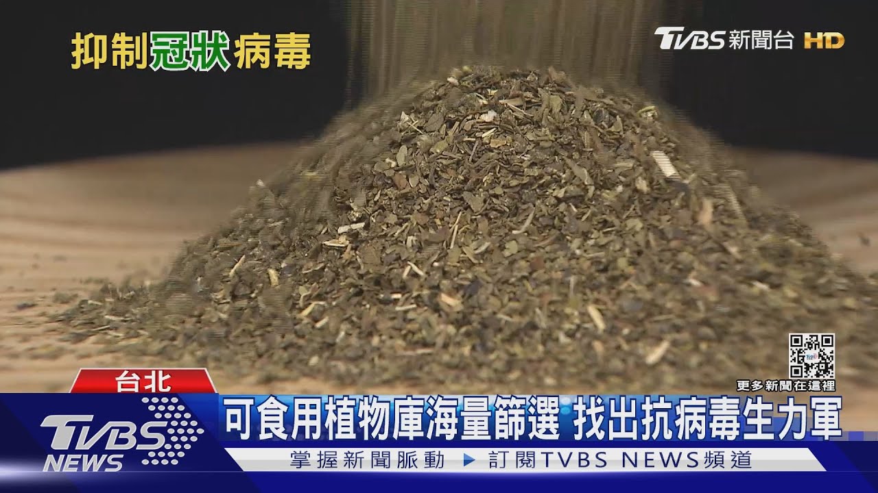 與疫共存!「這些食藥材」萃取物可抗冠狀病毒 預防保健商機大
