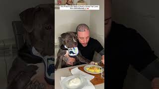 This Pit Bull Is So Happy to Have a Family That Loves Him Unconditionally.