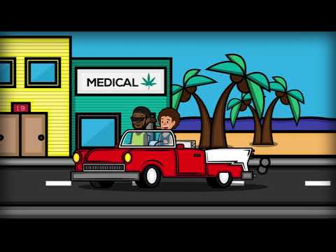 HOLIDAY - Nico Miseria & Erick Hervé (OFFICIAL CARTOON)