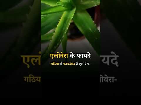 Health Benefits of Aloe Vera For Arthritis  #arthritisrelief #arthritisawareness #oteoarthritis