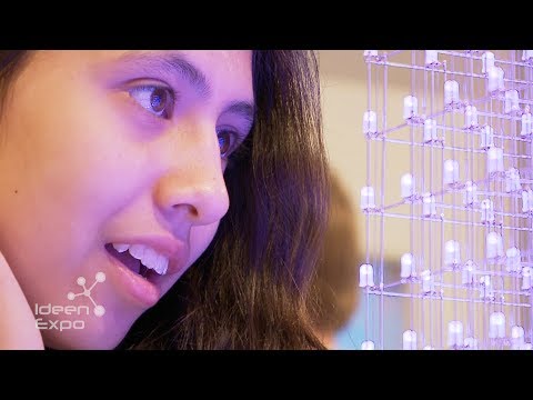 Best of the Day 13.06.2017