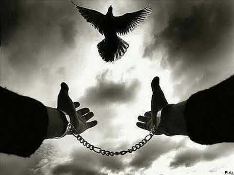 Nello Amato - Rispetto e libertà 👉❤️👈