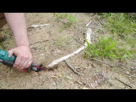 Reciprocating saw for cutting tree roots#tools #  #reciprocatingsaw