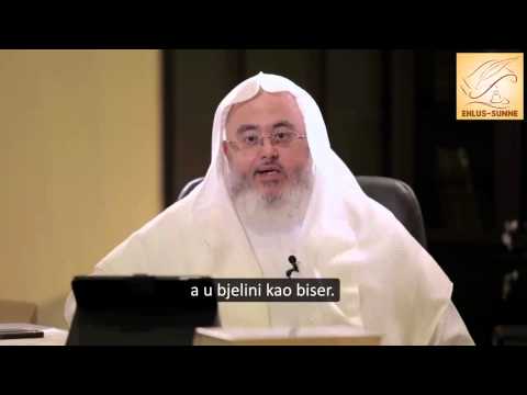 Ajeti koji čuvaju od bluda - Šejh Muhammed el-Munedždžid