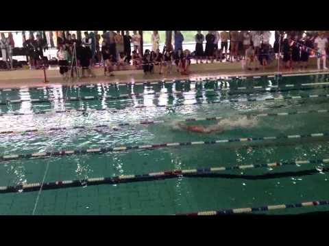 staffa4x50misl larus