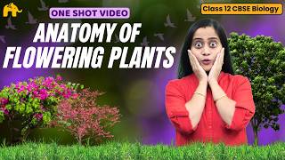 Anatomy of Flowering Plants Class 11 Biology | NCERT Chapter 6 | CBSE NEET | Full Chapter One shot