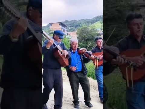 BELÉN NARIÑO COLOMBIA. 🇨🇴 MÚSICOS DE BELÉN NARIÑO. #enriqueokikefernández #cauca #nariño #colombia