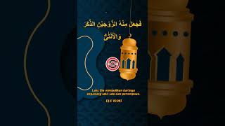 Download lagu Qs. Al-Qiyamah 75 Ayat 39 #alquran #hadist #cinosreligi #alqiamah #qiamat #shorts mp3 Download lagu Qs. Al-Qiyamah 75 Ayat 39 #alquran #hadist #cinosreligi #alqiamah #qiamat #shorts mp3