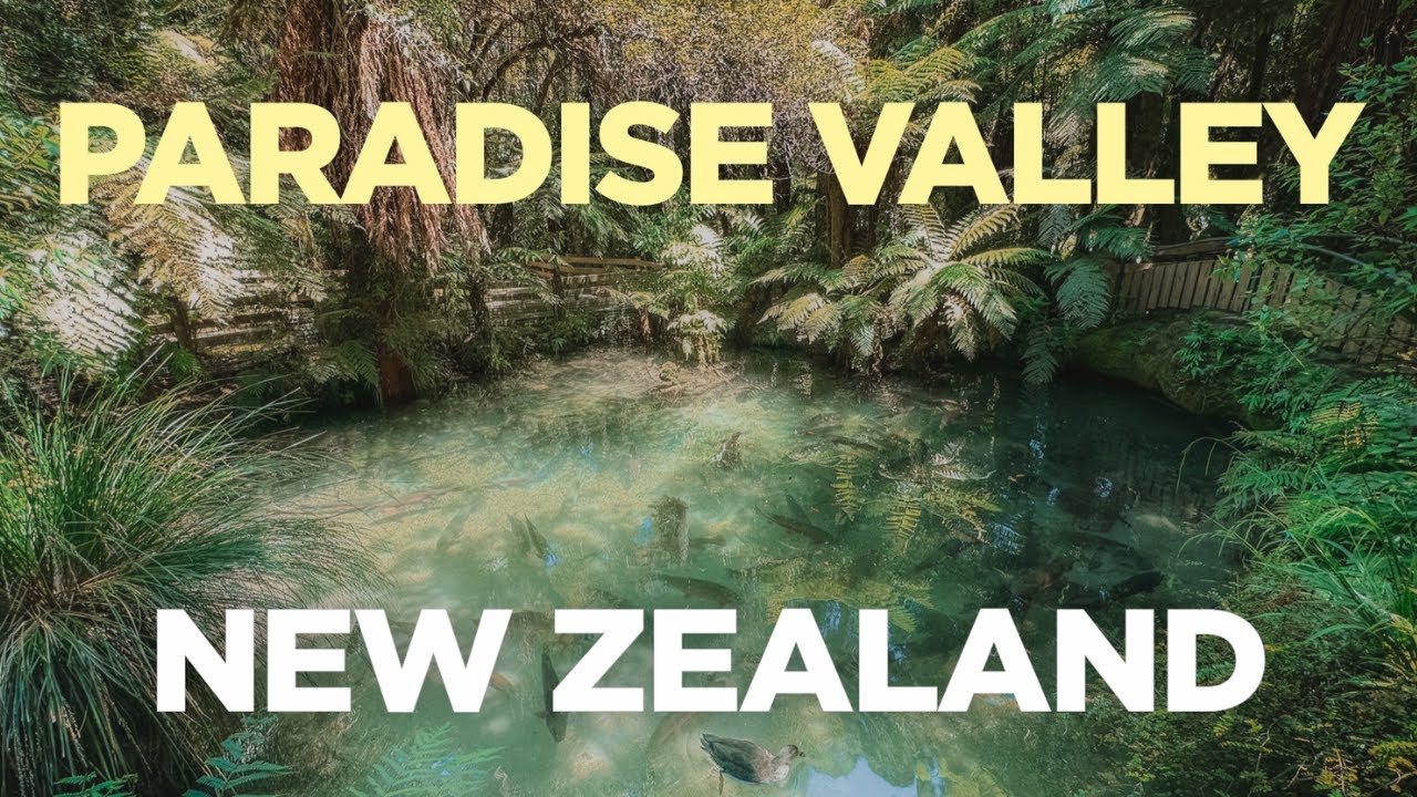 Travelers embark on a visit to Paradise Valley Springs Wildlife Park.