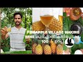Special Pineapple Wine Village Making