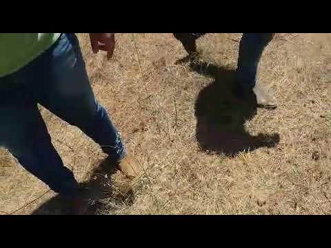 Após pegar carona, bandido tenta assaltar caminhoneiro e acaba morto Após pegar carona, bandido tenta assaltar caminhoneiro e acaba morto