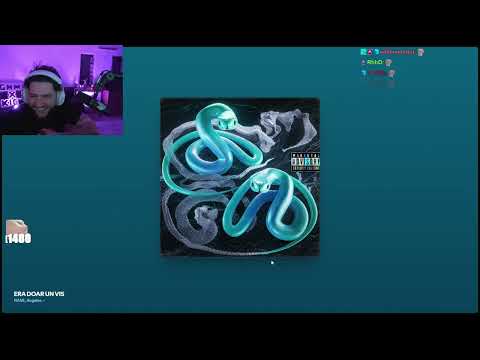 Highman reacts to Nane's album STILL ALIVE