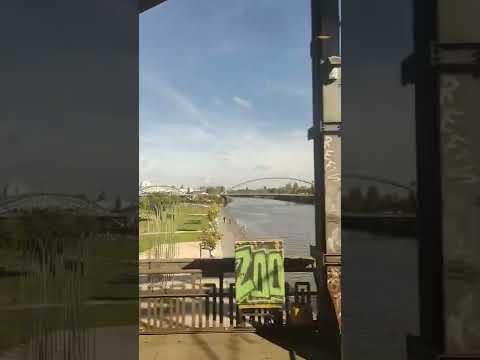 Zug-Vlog: Mit 280 km/h nach Köln | 287/365 #zug #bahn #ice1 #ice3 #vlog #fulda #frankfurt #köln