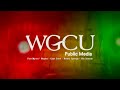 PBS Station Identification 2003 2006 2009 WGCU TV REMAKE FANMADE