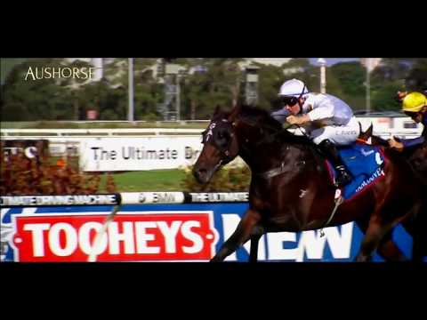 2017 Gold Coast National Broodmare Sale - Day 3