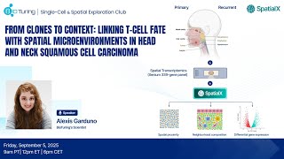 EP51: Linking T Cell Fate with Spatial Microenvironments in Head and Neck Squamous Cell Carcinoma
