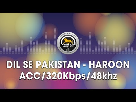 Dil Se Pakistan - Haroon