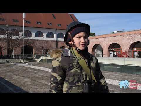 Lectia de istorie cu Marko Szuhanek