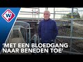 Einde aan onbeveiligde overwegen op het spoor: 'Ze zijn gewoon gevaarlijk' - OMROEP WEST