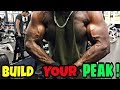 Ways To Build Your BICEPS PEAK (GET YOUR RESULTS!)