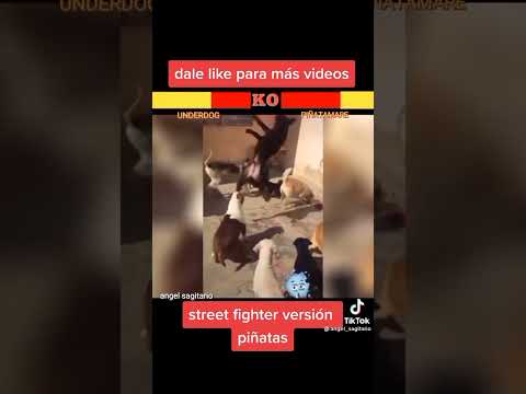 street fighter versión piñata