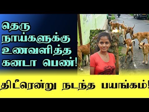 கனடா தமிழ் பெண்ணுக்கு தாயகத்தில் நடந்த பயங்கரம் | #canada #tamil #news #jaffna #dog  #girl