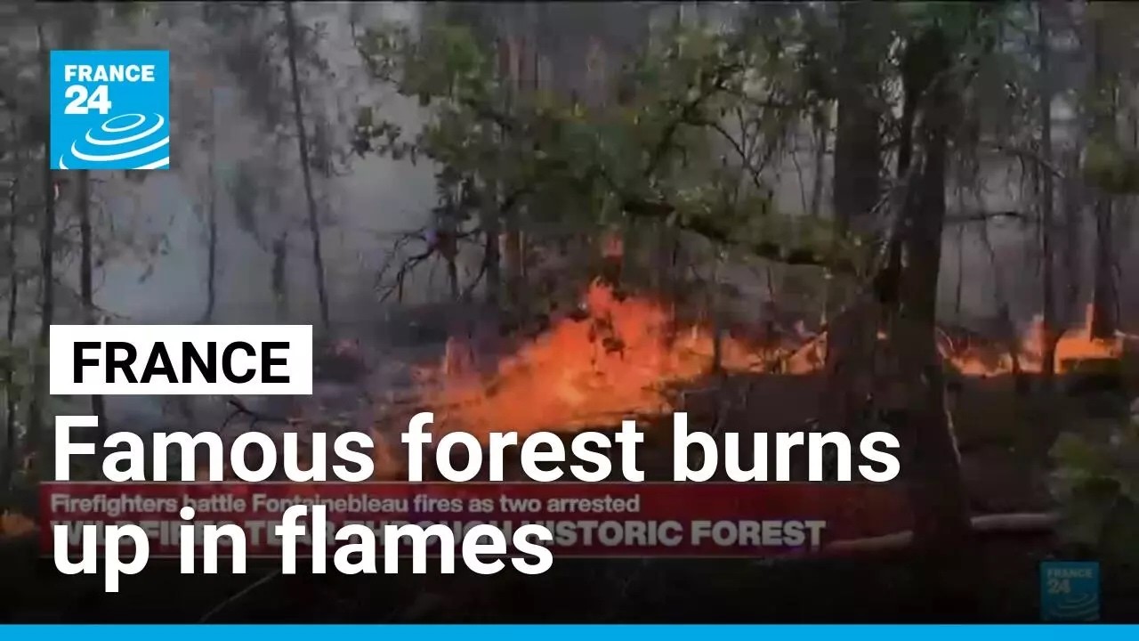 France: Wildfires tear though historic forest of Fontainebleau near Paris • FRANCE 24 English