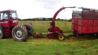MF1250 cutting silage