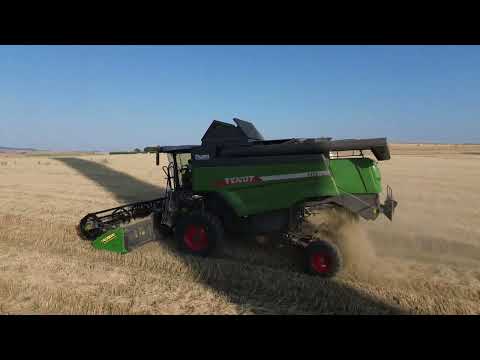 raccolta frumento con Fendt 5275 c sl + crassoni 6m TOP 👌😎