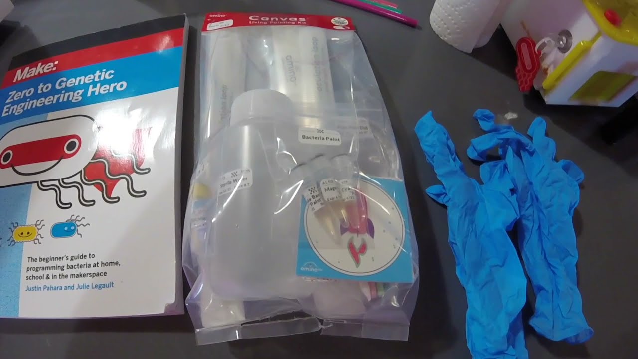 Canvas Kit for living paintings and agar art - Follow along experiment!