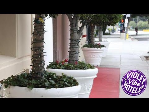 Hotel Carmel | Los Angeles (CA), United States | Hotel Review 🏨
