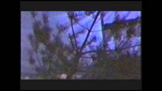 The Beast People (2002 BSFX EDIT)