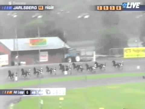 Ulf Thoresens Minnelop 2011 -Brad de Veluwe