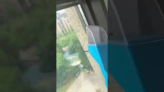 Lapač hmyzu, insect catcher biely