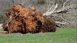 preview picture of video 'Harrogate, Tennessee Tornado Friday March 2, 2012 Claiborne County'