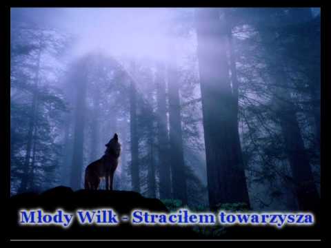 Młody Wilk - Straciłem towarzysza