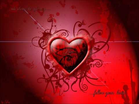 hör auf dein Herz - TaRa, Platon, Makellos