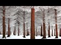 Андрей Губин - Зима-холода 