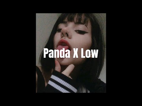 𝙙𝙚𝙨𝙞𝙞𝙜𝙣𝙚𝙧 𝙛𝙩. 𝙛𝙡𝙤 𝙧𝙞𝙙𝙖 (& 𝙩-𝙥𝙖𝙞𝙣)  - 𝙥𝙖𝙣𝙙𝙖 𝙭 𝙡𝙤𝙬  (𝙨𝙡𝙤𝙬𝙚𝙙)