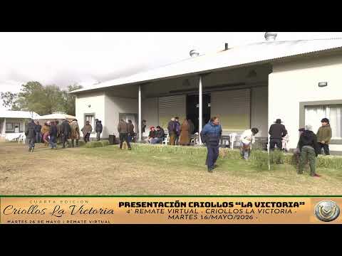 en VIVO - 11 hs. - DÍA de CAMPO de los CRIOLLOS "LA VICTORICA" - SÁB. 16/MAYO/2026 - URIBURU -L.P.-