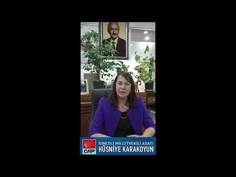 CHP Milletvekili adayı Karakoyun: Bu seçimi hep birlikte kadın