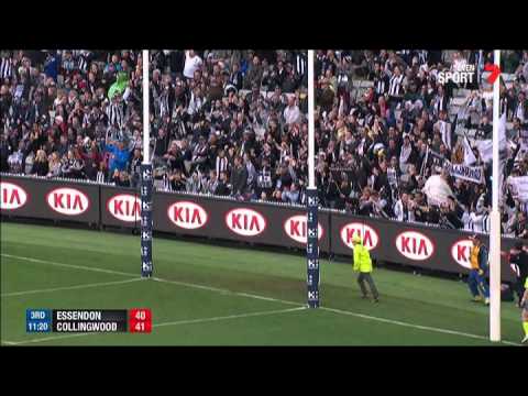 Round 4 AFL - Essendon v Collingwood Highlights