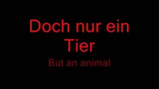Tier   Rammstein Lyrics &amp; English